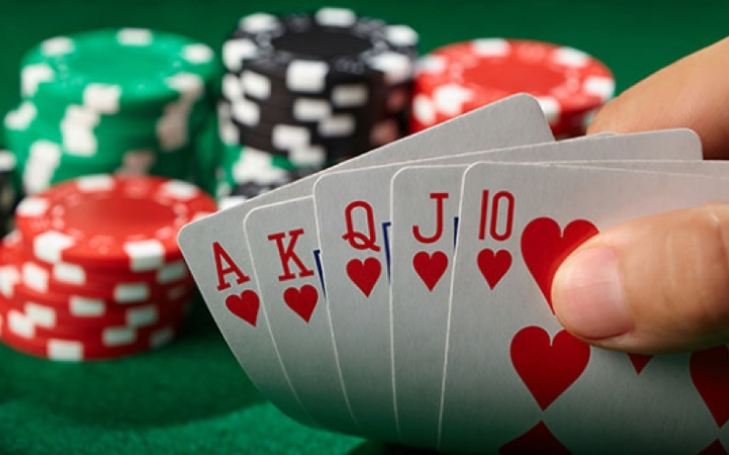 Các hành động của người chơi tại mỗi vòng cược