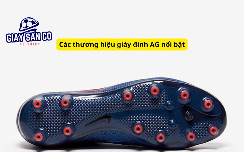 Các thương hiệu giày đinh AG nổi bật