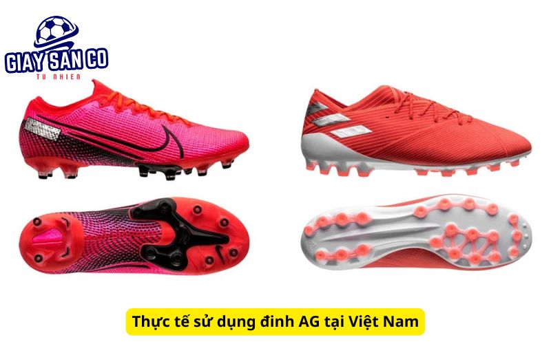 Thực tế sử dụng đinh AG tại Việt Nam