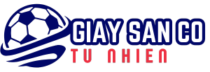 giaysancotunhien-logo