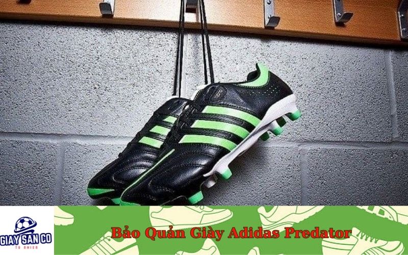 Bảo Quản Giày Adidas Predator