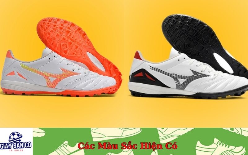 Các Màu Sắc Hiện Có