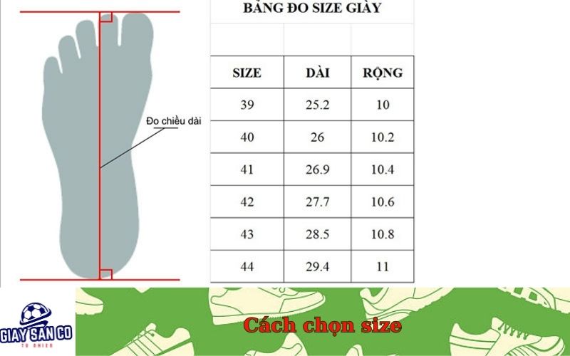Cách chọn size