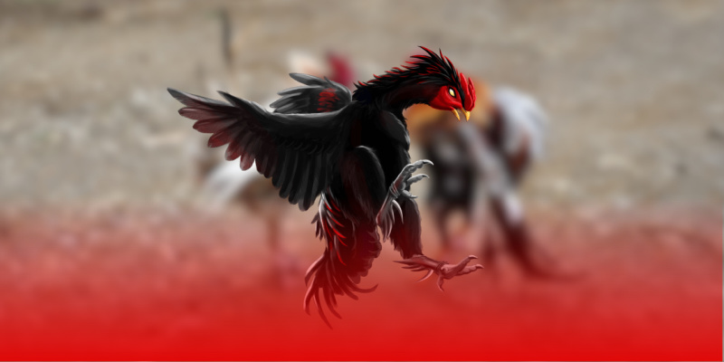 Chính sách bảo mật Sabong67 cam kết an toàn tối đa cho hội viên