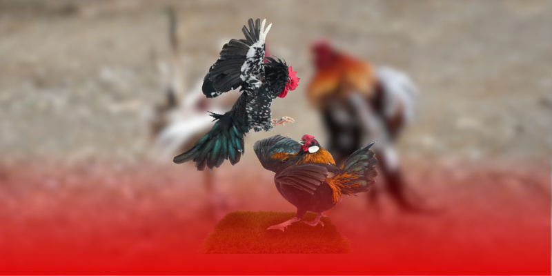 Lợi ích khi tuân thủ chính sách bảo mật người chơi nhận được