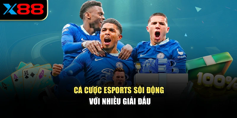 Cá cược esports sôi động với nhiều giải đấu